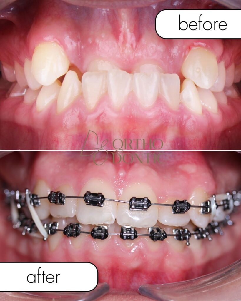 58088119 056c 43a2 803d 023c546d1ea3